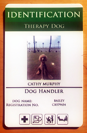 Bailey’s ID 01 Bailey Therapy Dog